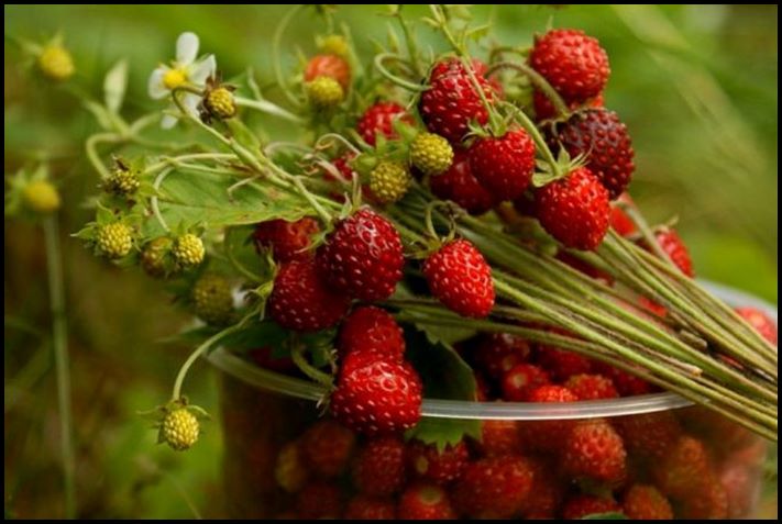20 լուսանկար, որոնից կարող եք բուրմունք զգալ: Կարոտի մի պահ հաստատ կորսաս