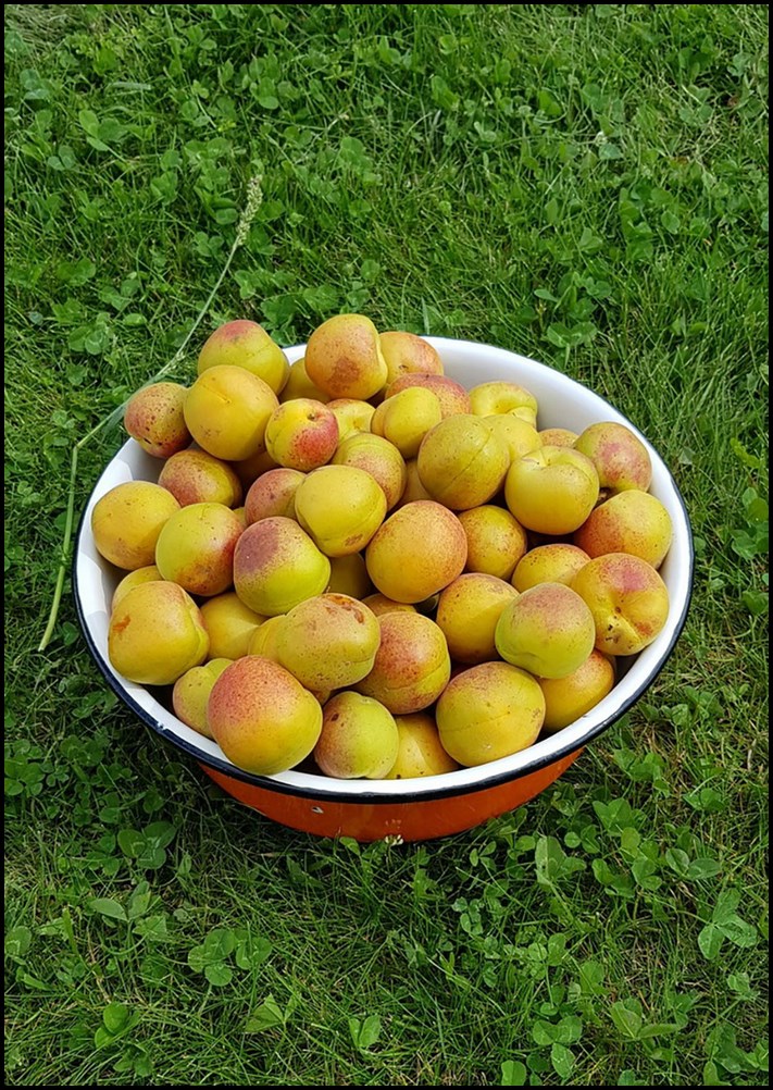 Ի՞նչ է ամառանոցային հանգիստը։ 20 ասպեկտներ, որոնք կապված են նման ժամանցի հետ