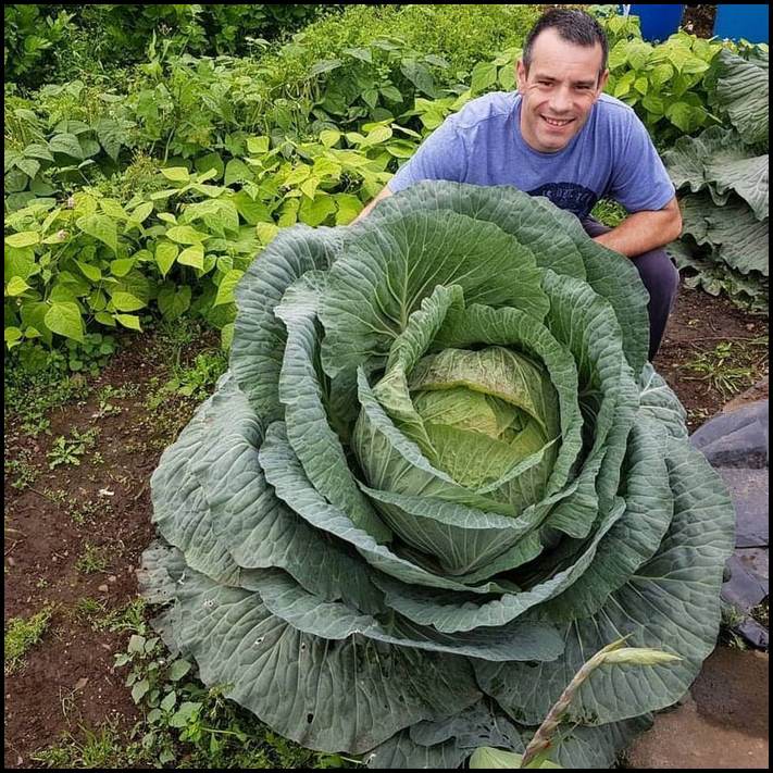 15 ապշեցուցիչ լուսանկարներ, որոնք կզարմացնեն ձեզ և չեք հասկանա` արդյո՞ք դա իրական է