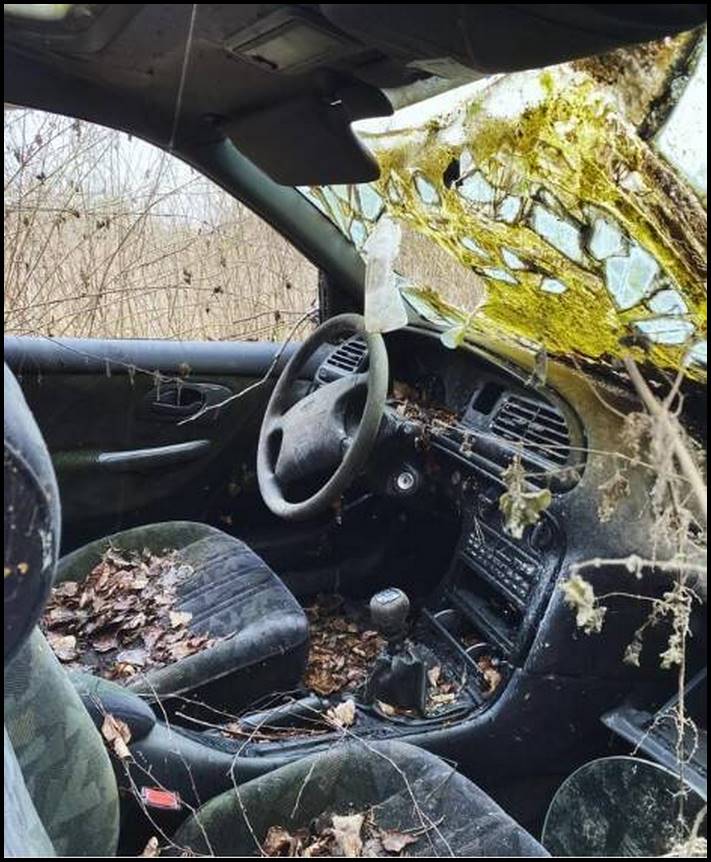 14 լքված վայրեր, որոնք բնությունն արդեն նվաճել է