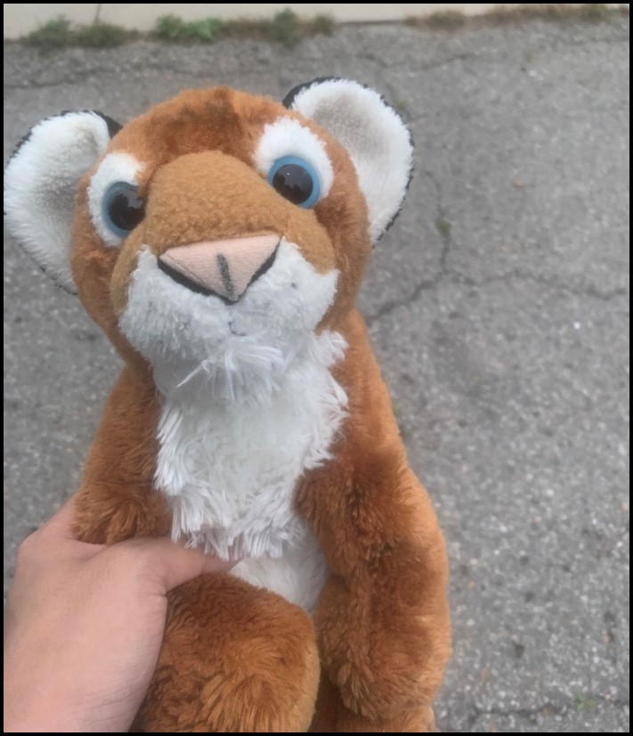 17 դեպք, երբ սպասումները դեմ առ դեմ հանդիպեցին իրականությանը և ձախողվեցին նույն պահին