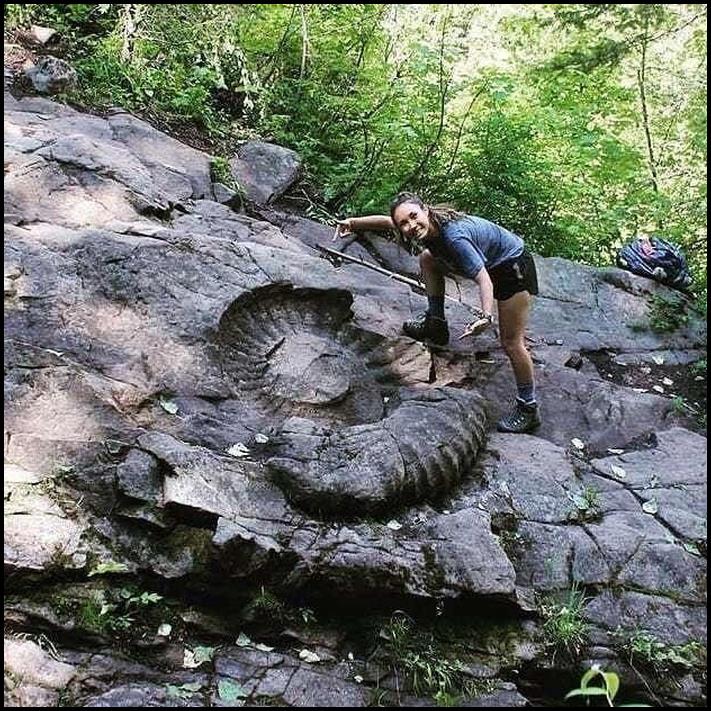 Մենք սովոր ենք, որ բույսերը, կենդանիները և իրերը որոշակի չափեր ունեն։ Իսկ այս լուսանկարները կոտրում են կարծրատիպերը