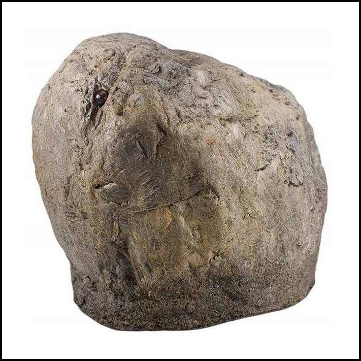 12 անսպասելի վայրեր, որտեղ թաքնված տեսախցիկները կարող են դարանակալել