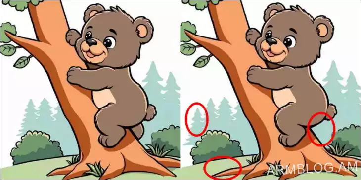 Արջի ձագը ծառի վրա. Կարո՞ղ եք գտնել 3 տարբերություն նկարների միջև