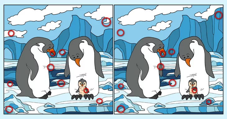 Ես գտա 8 տարբերություն նկարների միջեւ: Օգնիր ինձ գտնել եւս երկուսը