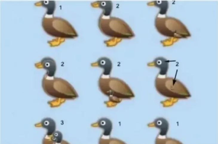 Այս բադերի հանելուկը խառնաշփոթ է առաջացրել համացանցում․ Իսկ դու ճի՞շտ կհաշվես