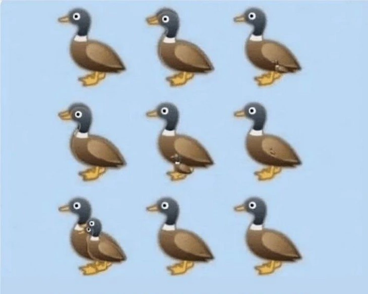 Այս բադերի հանելուկը խառնաշփոթ է առաջացրել համացանցում․ Իսկ դու ճի՞շտ կհաշվես