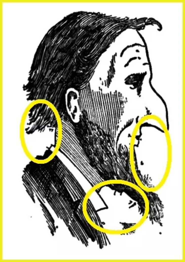 Տարօրինակ դիմանկար. Գտեք նկարում 3 թաքնված դեմք 10 վայրկյանում