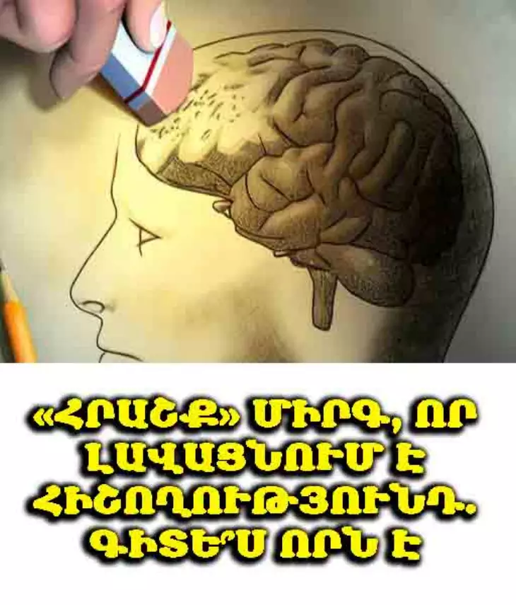 🧠 Մի մրգատեսակ, որն իսկական հրաշք է․ այն բարելավում է հիշողությունը և նվազեցնում դեմենցիայի վտանգը — բավական է ուտել մեկ հատ օրական