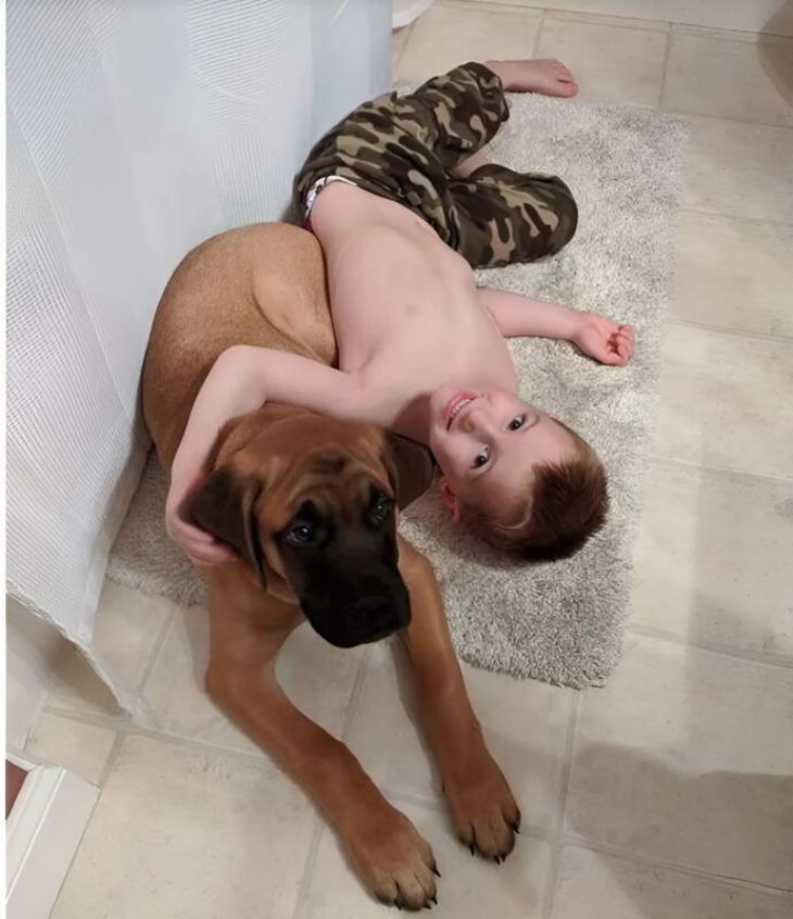 🐾🐶 Տղայի և նրա շան միջև անսասան ընկերություն. քնքշանքի մի պահ, որը հուզում է սրտերը