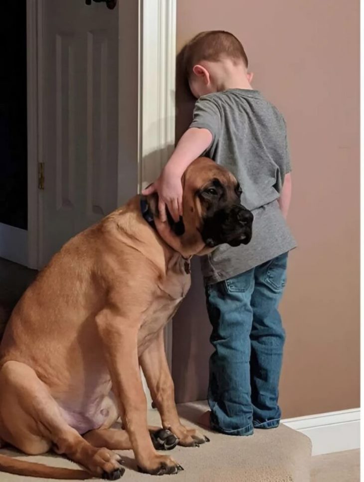 🐾🐶 Տղայի և նրա շան միջև անսասան ընկերություն. քնքշանքի մի պահ, որը հուզում է սրտերը