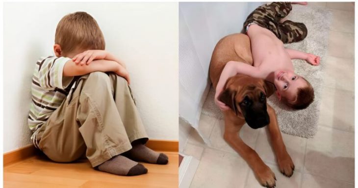 🐾🐶 Տղայի և նրա շան միջև անսասան ընկերություն. քնքշանքի մի պահ, որը հուզում է սրտերը