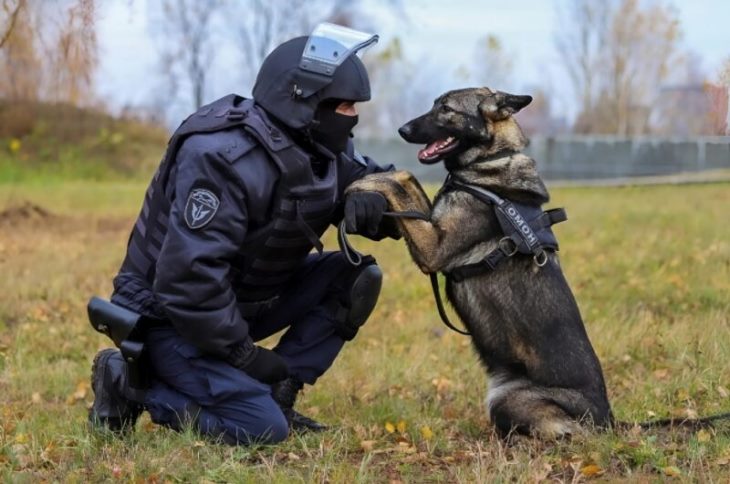 🐶 Շունը հաչում էր դագաղի վրա և փչացնում ծաղիկները, բայց երբ բացեցին դագաղը, բոլորը սարսափեցին