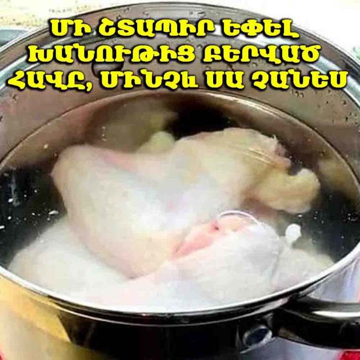 🍗 Ինչպես դուրս բերել ամբողջ քիմիական բաղադրությունը խանութից գնված հավի մսից. օգտակար խորհուրդ մսի կոմբինատի աշխատակցից