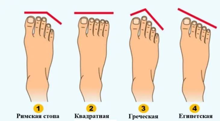 🦶Ի՞նչ կարող է պատմել ձեր ոտքի ձևը ձեր բնավորության մասին. անսպասելի փաստեր