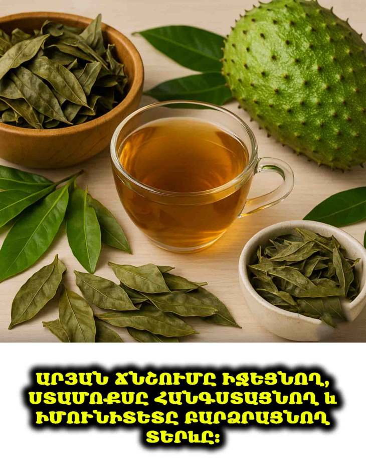 🌿 Թուփ, որը նվազեցնում է արյան ճնշումը, հանգստացնում է ստամոքսը և ուժեղացնում իմունիտետը