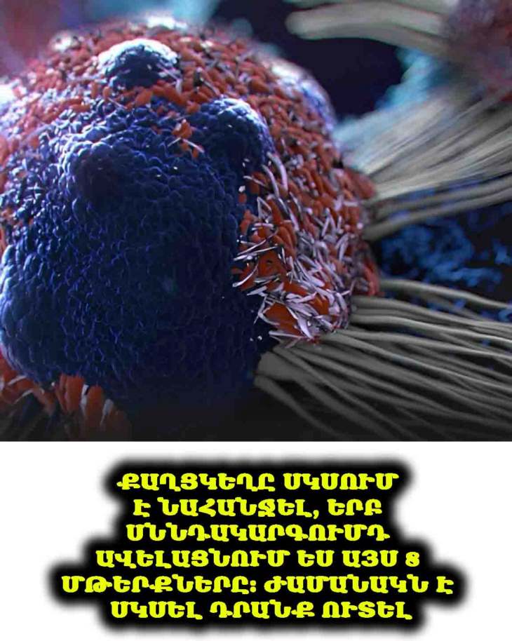 💚 Քաղցկեղի դեմ պայքարող 8 լավագույն մթերքները․ ժամանակն է ավելացնել դրանք քո սննդակարգում