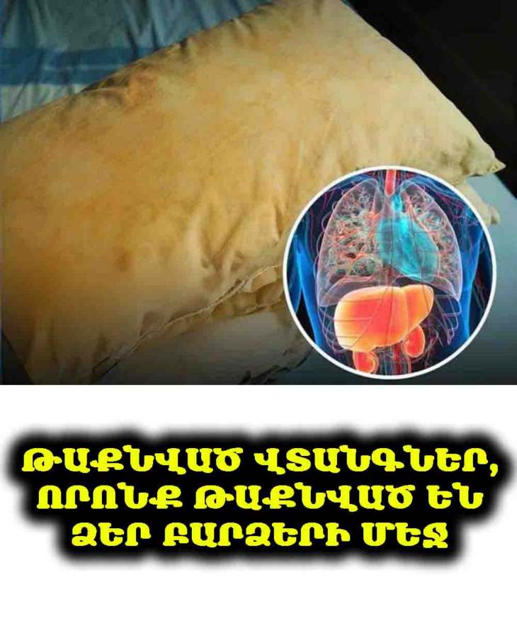 ⚠️ Ահա ամենավտանգավոր բարձերը, որոնցից անհրաժեշտ է խուսափել։ Դրանք կարող են վնասել թոքերն ու լյարդը։