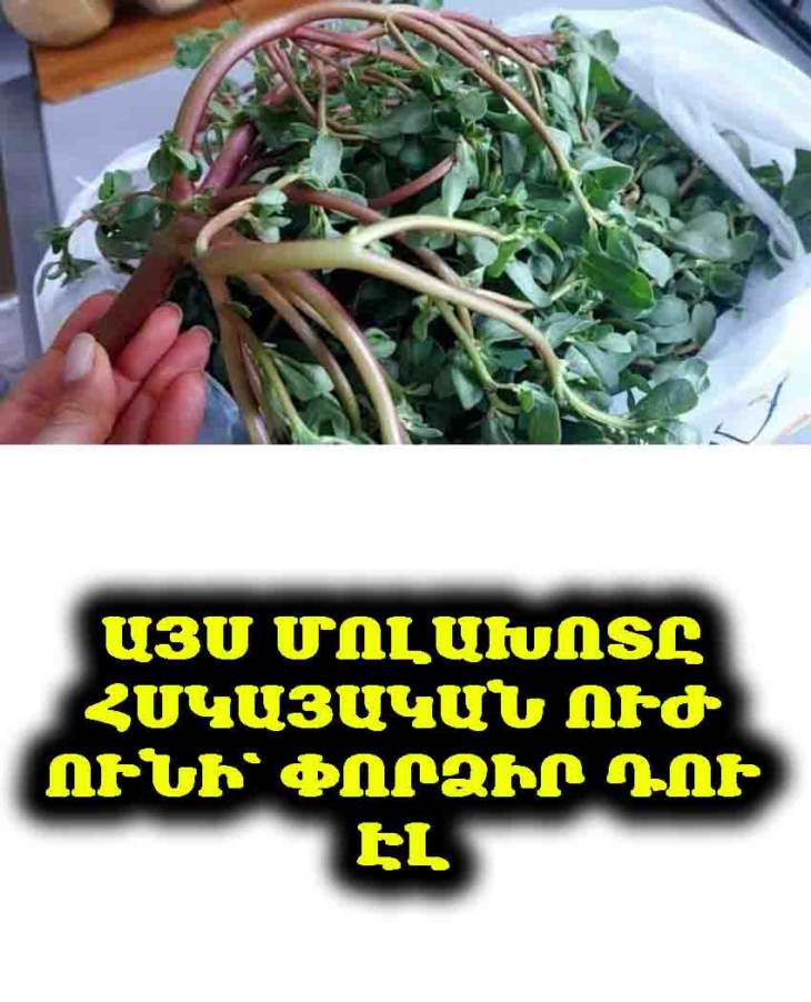 Ծույլերի սուպերֆու՞դը. Ինչպես տատիկիս այգու «մոլախոտը» փոխարինեց ինձ թանկարժեք սննդային հավելումները։