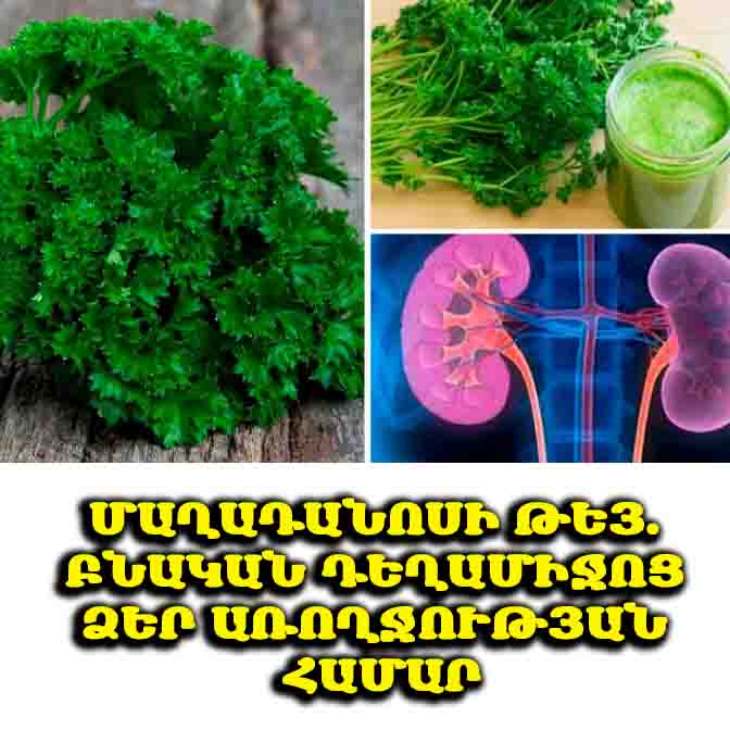 🌟 Դուք գիտեի՞ք, որ մաղադանոսի թեյը զարմանահրաշ օգուտներ ունի առողջության համար։ Բացահայտեք դրանք հիմա: 🌿