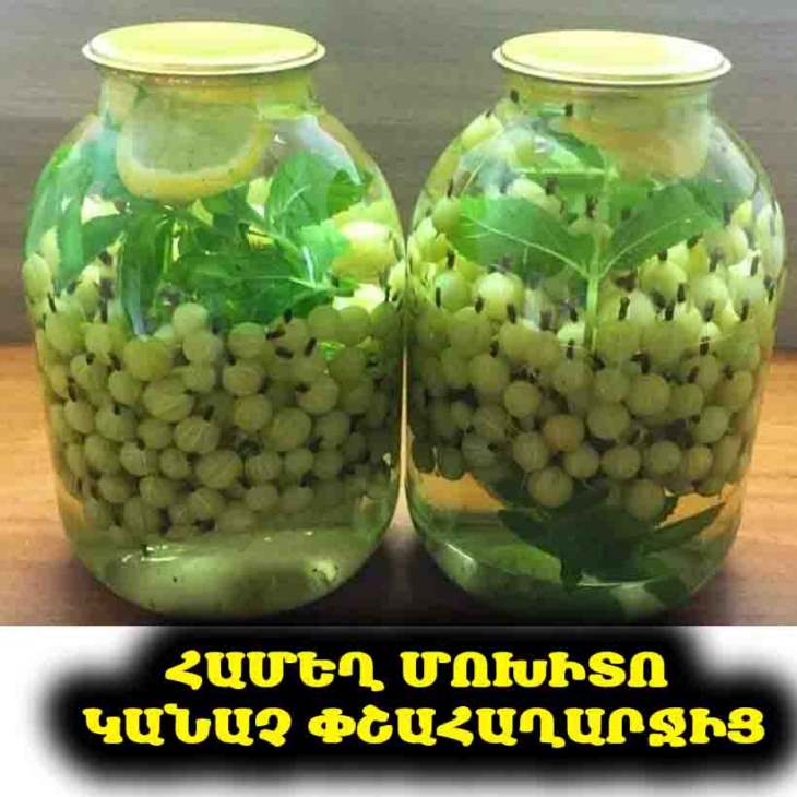 🚀 Այս կոմպոտից 100 բանկա էլ փակեք՝ միևնույն է, քիչ կլինի։ Բացահայտե՛ք կանաչ փշահաղարջի մոխիտոյի գաղտնիքը։ 🍹