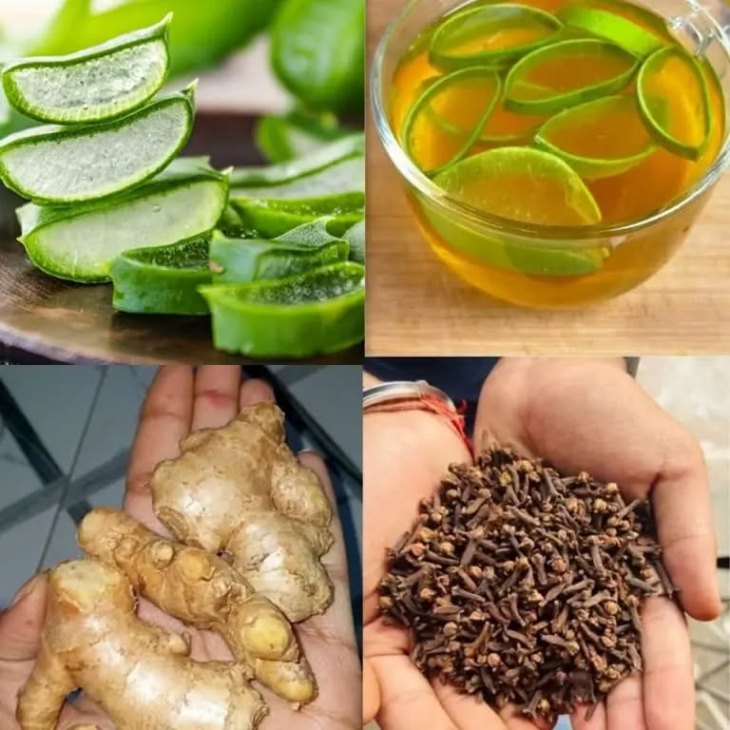 🌿 Հրաշք միջոց, որը բուժում է քաղցկեղը, դիաբետը և բարձր ճնշումը: Բացահայտեք գաղտնիքը: