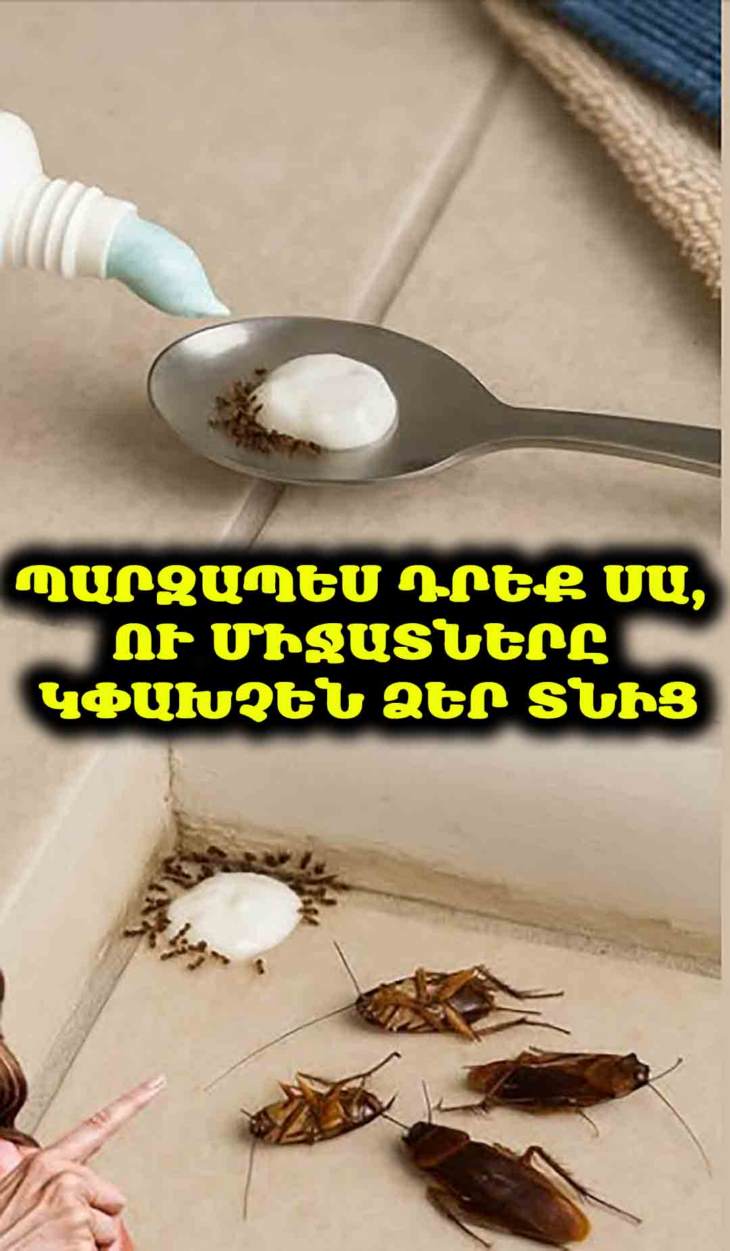 🚫 Հոգնե՞լ եք տանը ճանճերից, մոծակներից ու ուտիճներից: Դրե՛ք սա մեկ ժամով, և նրանք կանհետանան ընդմիշտ: Բնական ու պարզ լուծում! 👇