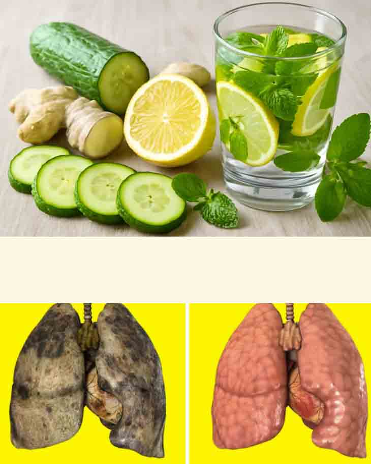 🌿 Ամեն օր այս ըմպելիքը խմելու 9 պատճառ։ Վարունգ, իմբիր, անանուխ, կիտրոն. ձեր առողջության բանալին մեկ բաժակի մեջ։