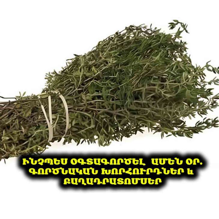 💪 Իմունիտետը բարձրացնելու, բորբոքումները նվազեցնելու և սթրեսը հանելու բնական միջոց. այս ամենը օրեգանոյի շնորհիվ։ 💚