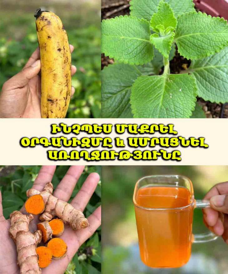🌿 60 տարեկանում ես ազատվեցի ճնշումից և շաքարախտից. Հզոր բնական ըմպելիքի բաղադրատոմսը