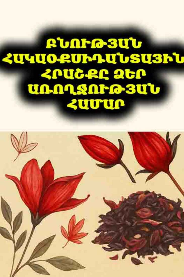 🌺 Գիտեի՞ք, որ բիբիսկուսը հզորագույն հակաօքսիդանտ է։ Բացահայտեք դրա զարմանահրաշ օգուտները ձեր առողջության համար: ✨