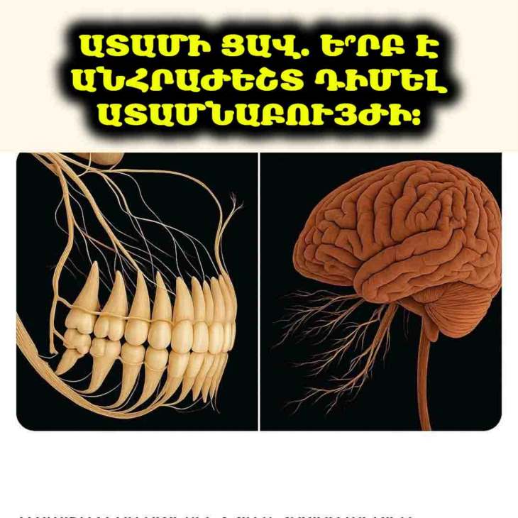 🦷 Ատամի ցավ. Ի՞նչ պետք է իմանալ անտանելի ցավի մասին: