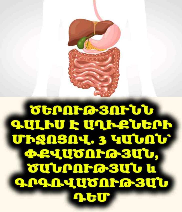 👵🏻 Ծերացումը Սկսվում է Աղիքներից. 3 Կանոն Փքվածության և Ծանրության Դեմ