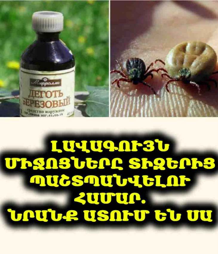 🐜 Տիզերի դեմ պայքար. Ամենաարդյունավետ բնական միջոցները, որոնք նրանք ատում են