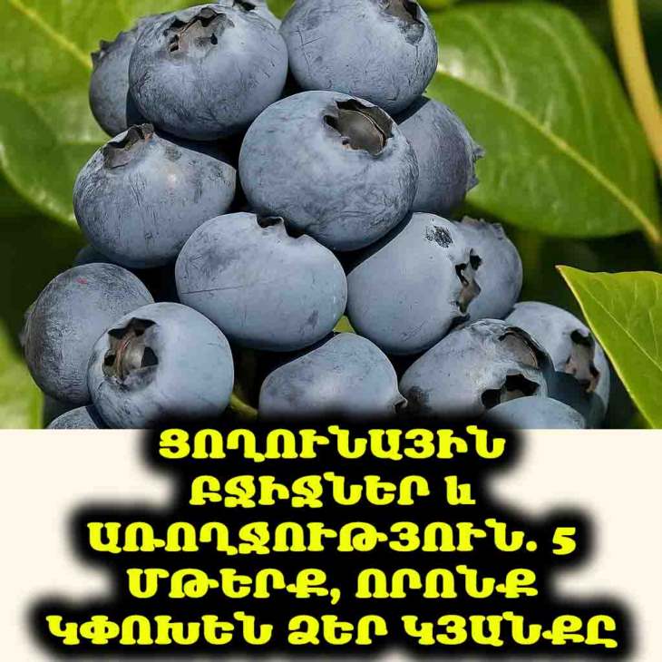 🚀 Ցողունային բջիջների գաղտնիքը ձեր ափսեում! Բացահայտեք 5 մթերք, որոնք կօգնեն ձեզ մնալ առողջ։