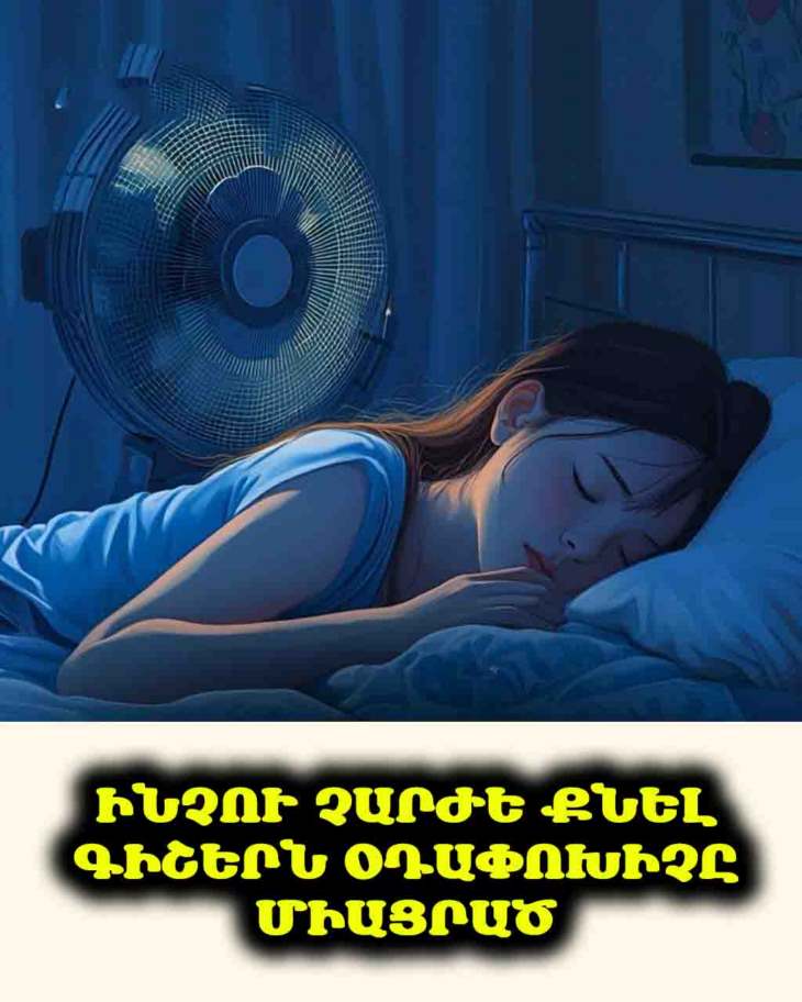 🤧 Մտածում եք, որ օդափոխիչը լուծում է շոգի խնդիրը։ Զգույշ եղեք. այն կարող է սրել ալերգիան և չորացնել ձեր շնչուղիները։