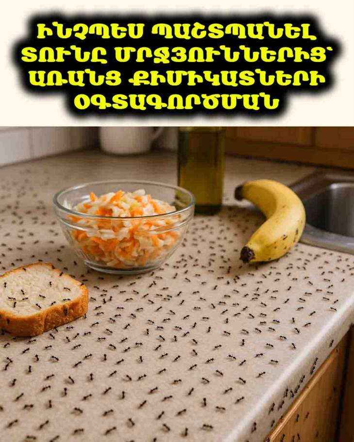 🐜 Ինչպես ազատվել մրջյուններից՝ առանց քիմիկատների. Բնական լուծումներ
