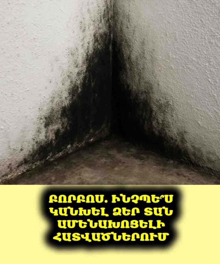 🚨 Այս 6 տեղերը Ձեր տանը բորբոսի սիրելիներն են. Ինչպե՞ս պայքարել դրա դեմ: