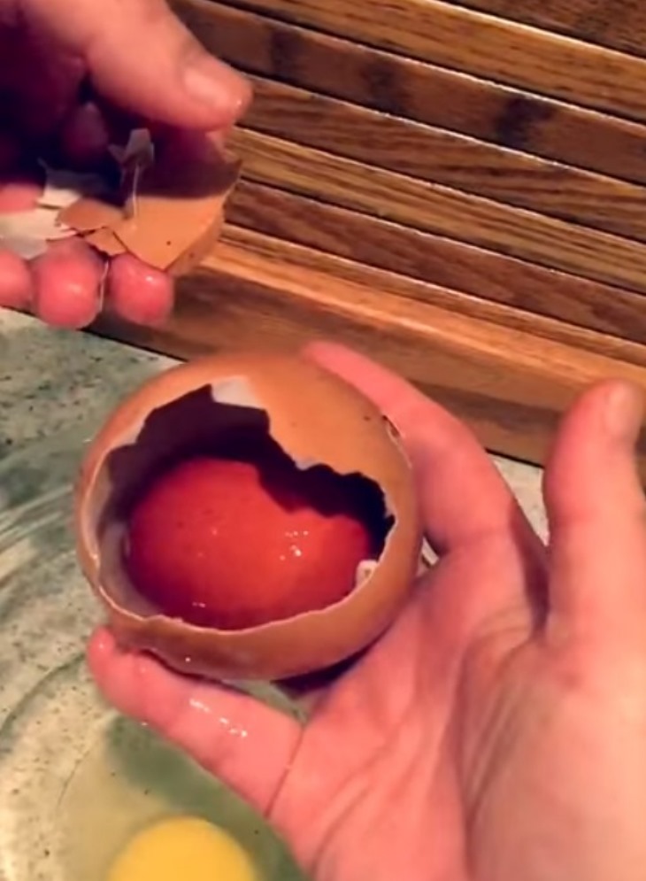 🥚 Ֆերմերը հսկայական ձու է գտնում. Այն, ինչ դուրս եկավ դրանից, զարմացրեց բոլորին