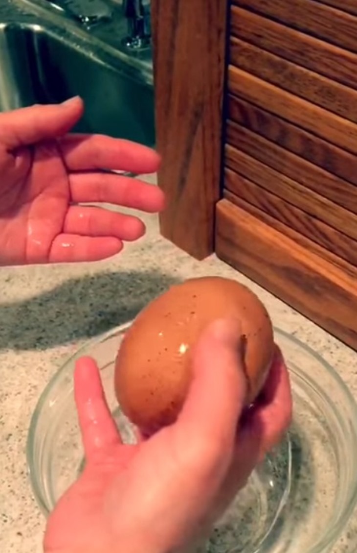 🥚 Ֆերմերը հսկայական ձու է գտնում. Այն, ինչ դուրս եկավ դրանից, զարմացրեց բոլորին