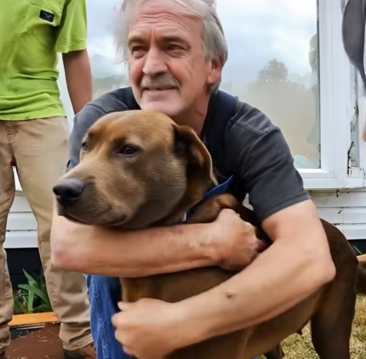 🥺 Սրտաճմլիկ պատմություն, որը կստիպի ձեզ արցունքներ թափել. Ծերունին այլևս չէր կարող հոգ տանել իր շան մասին։