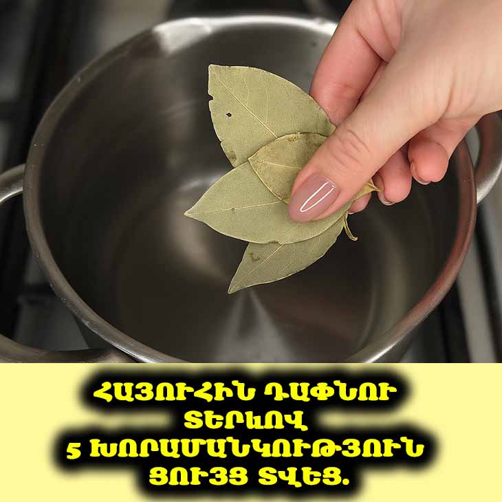 🌿 ✨ Հայուհին բացահայտեց դափնու տերևի 5 անսպասելի գաղտնիքները։ Դուք սա չեք լսել։
