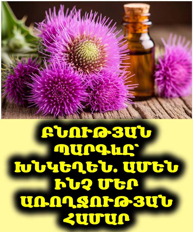 🌿 Գիտեի՞ք, որ խնկեղինը իսկական հրաշք է մեր առողջության համար։ Բացահայտեք դրա բուժիչ հատկությունները։