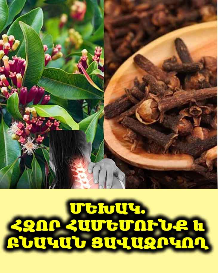 🌺 Մեխակ. բնական ցավազրկող և հզոր համեմունք ձեր առողջության համար