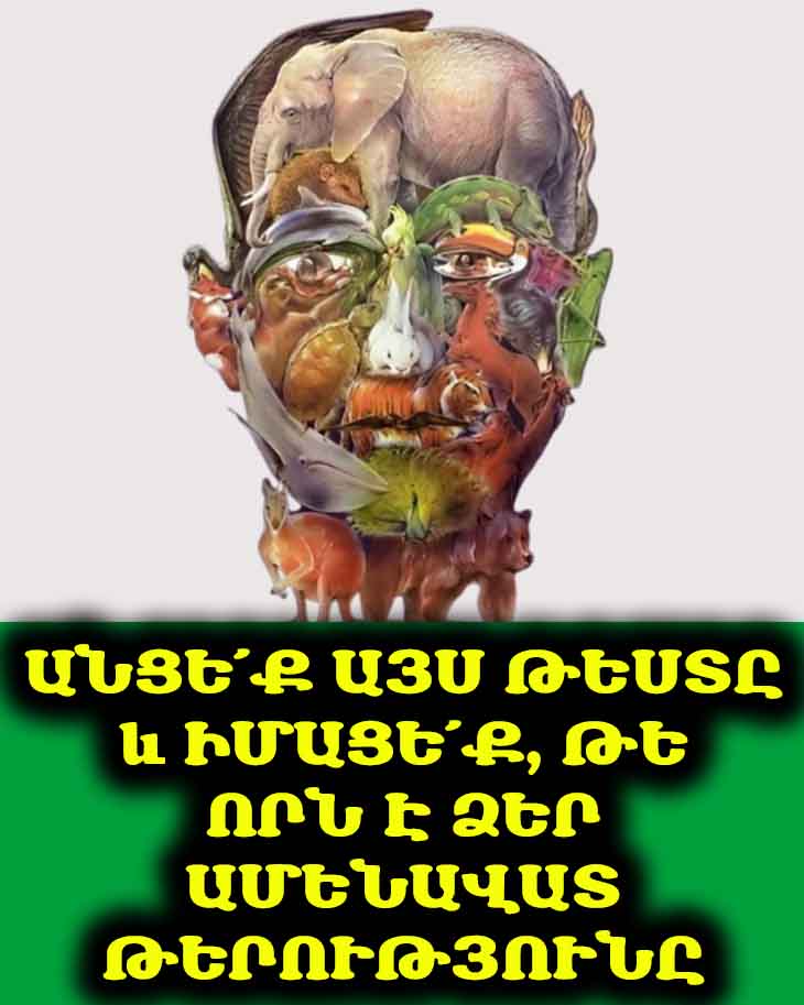 🧐 Թեստ. Ո՞ր կենդանուն եք նկատում առաջինը, և ի՞նչ է դա ասում ձեր թերությունների մասին