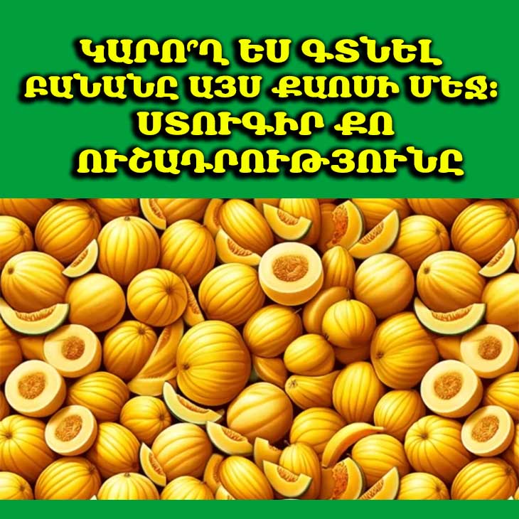 🍌 Գտիր բանանը 9 վայրկյանում․ Ուշադրության թեստ, որը կզարգացնի քո ուղեղը