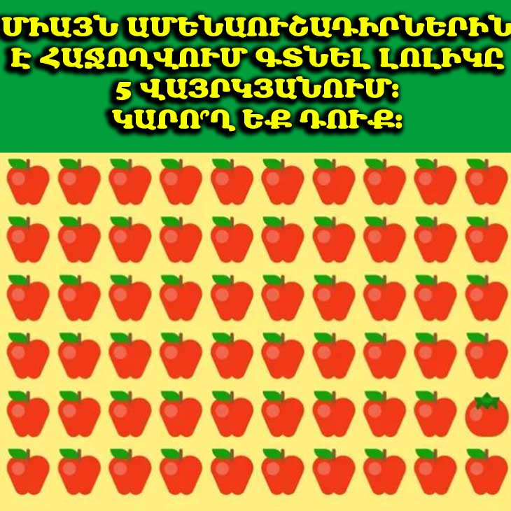 🍅 Միայն հանճարների համար. Կարո՞ղ եք 5 վայրկյանում խնձորների մեջ լոլիկ գտնել։ Այս գլուխկոտրուկը մատչելի է միայն 161-ից բարձր IQ ունեցողներին