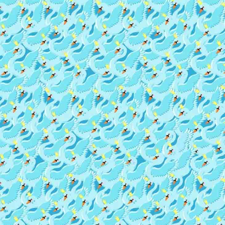 🦢 Կկարողանա՞ս 5 վայրկյանում գտնել առանց թագի կարապին։ 100-ից միայն մեկն է նկատում հնարքը առաջին հայացքից։