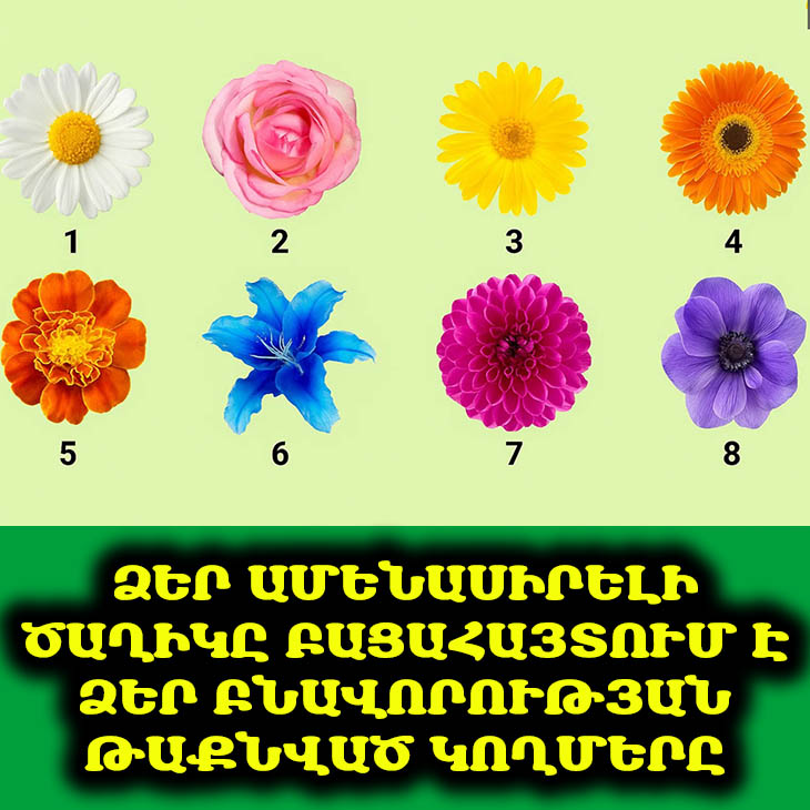🌸 Դուք ռոմանտի՞կ եք, թե՞ ազատ հոգի։ Բացահայտեք ձեր ներքին էությունը ձեր սիրելի ծաղկի միջոցով։