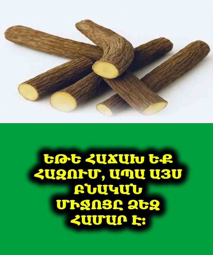 ⚠️🧡 Բնական բուժիչ լակրիցա. օգտակար հատկությունները և զգուշացումները